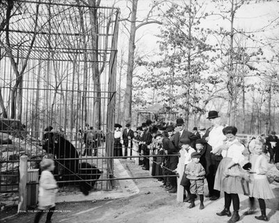 The Bear Pits, Memphis, Tennessee, c.1900-20 by Detroit Publishing Co.